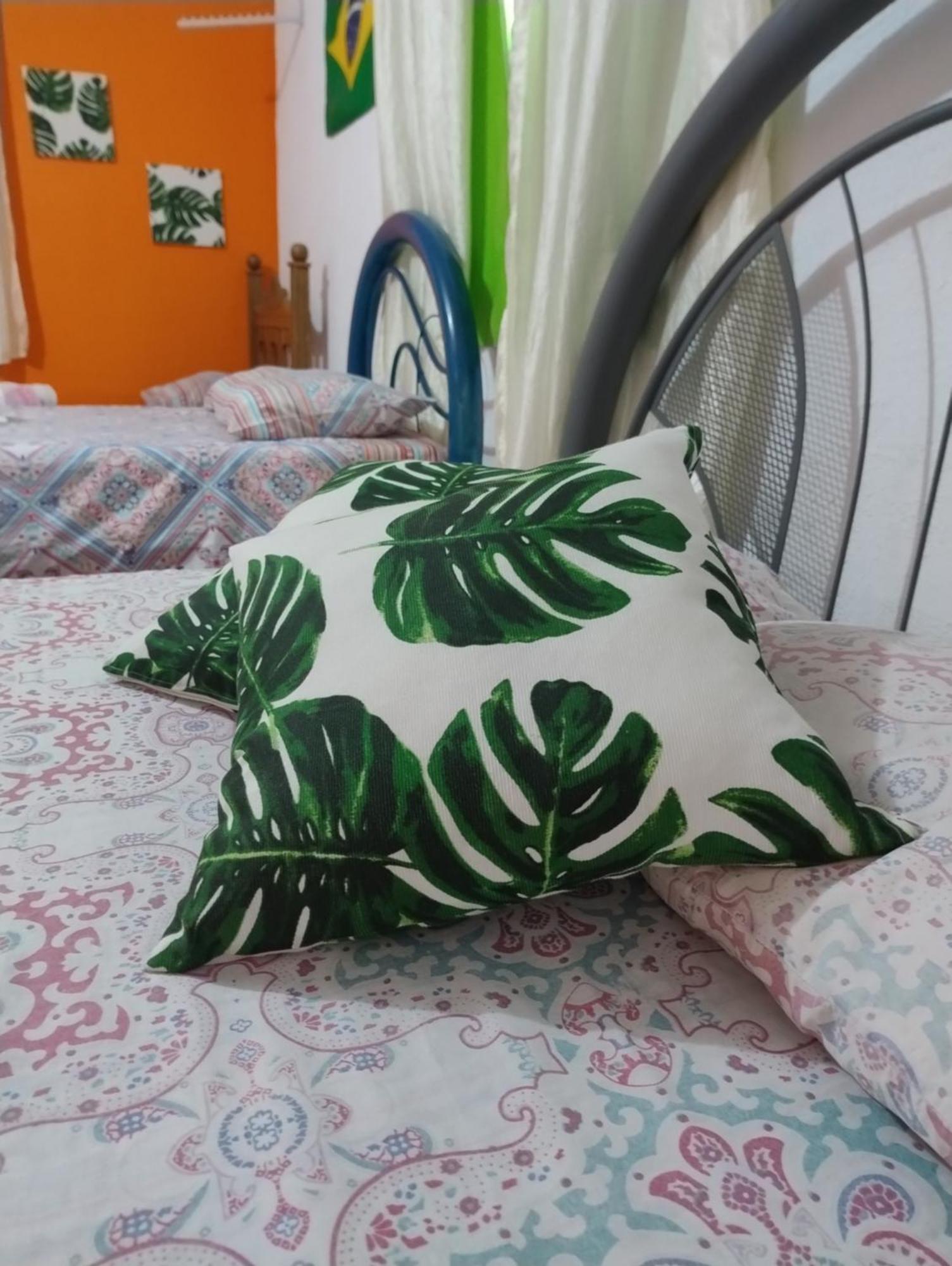 Perto Do Aeroporto De Salvador - Dona Pitanga Hostel 劳鲁-迪弗雷塔斯 外观 照片