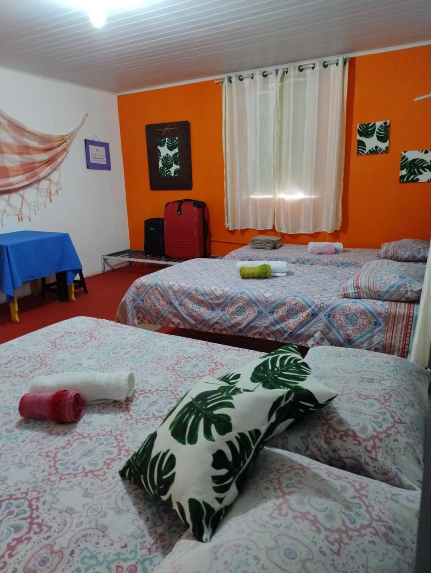 Perto Do Aeroporto De Salvador - Dona Pitanga Hostel 劳鲁-迪弗雷塔斯 外观 照片
