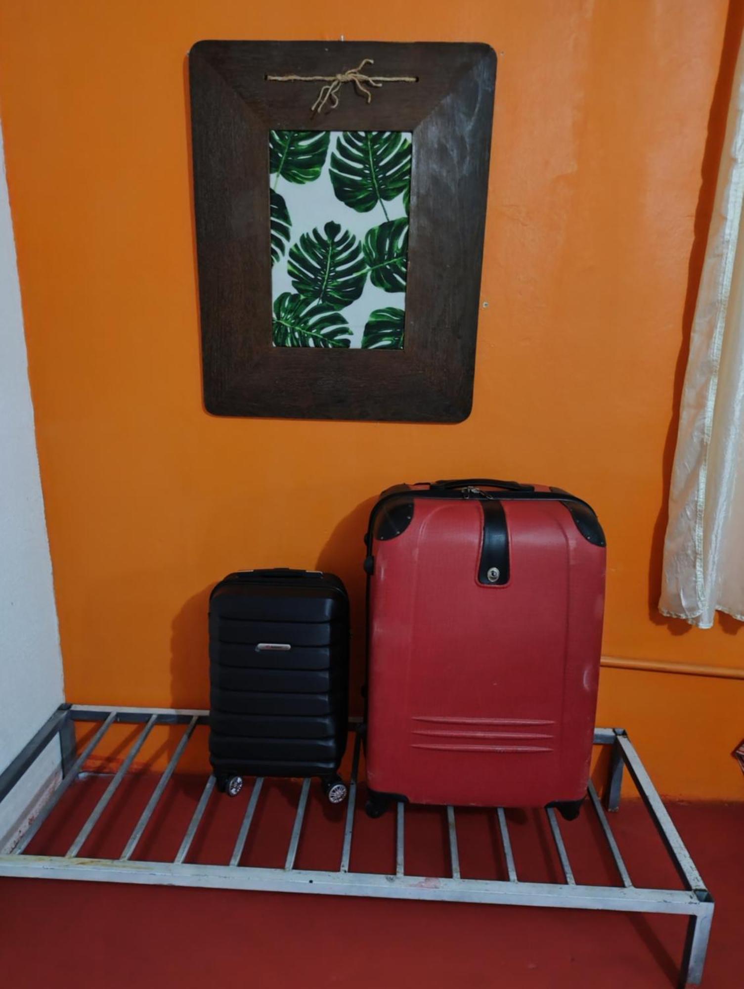 Perto Do Aeroporto De Salvador - Dona Pitanga Hostel 劳鲁-迪弗雷塔斯 外观 照片